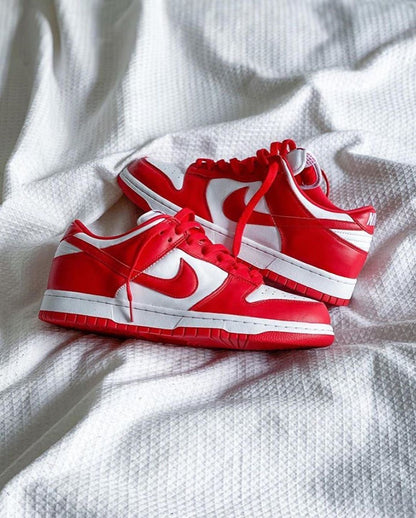 Nike Dunk Low Retro Red